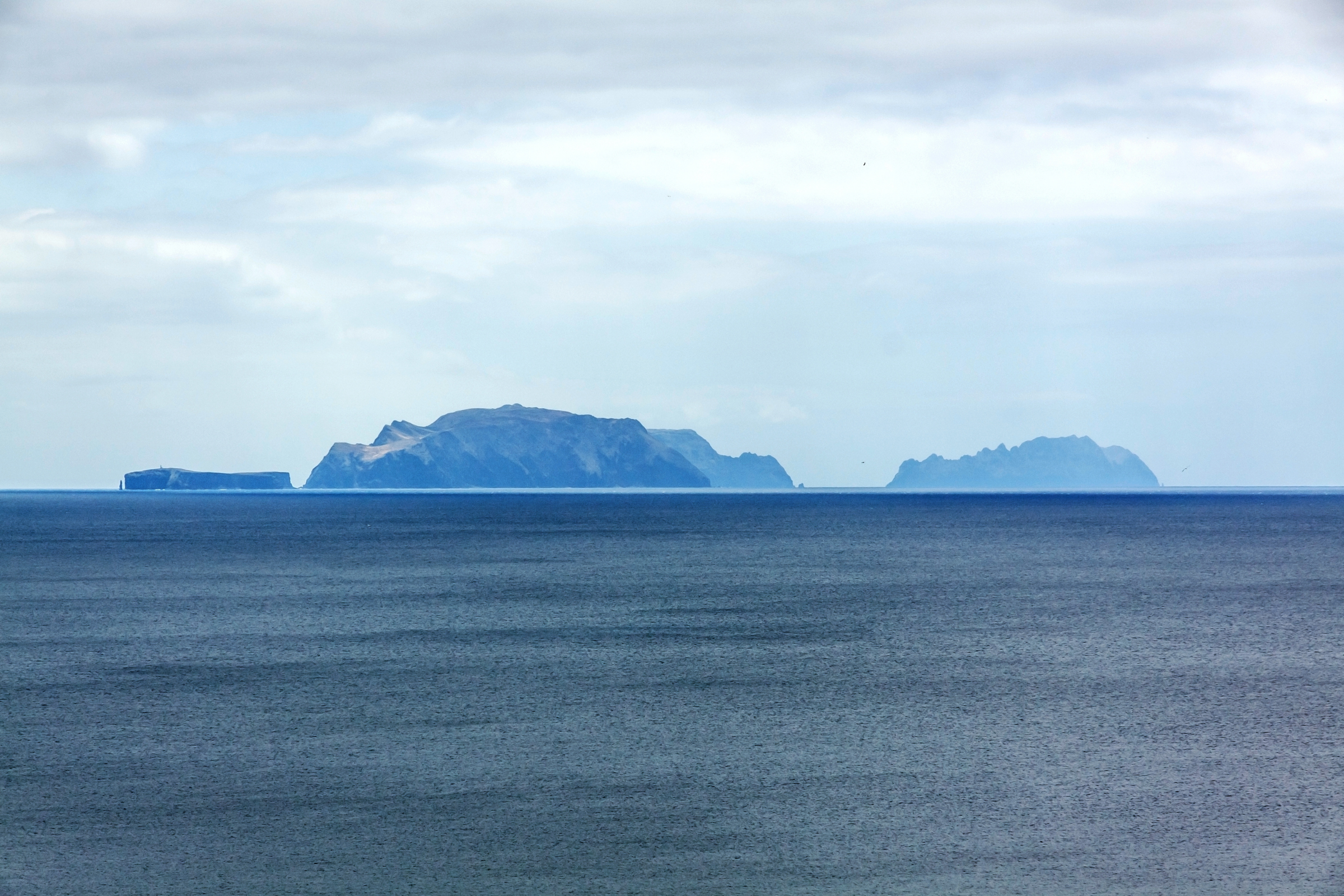 desertas islands (2).webp
